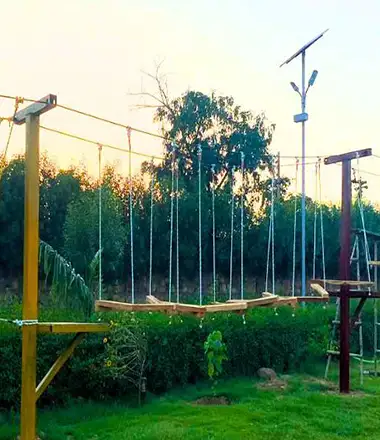 Activities
